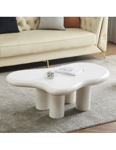 Table basse NUJ brillant des détails fins